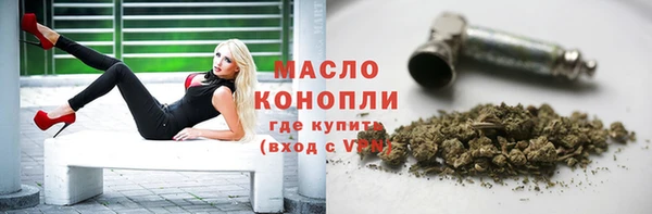 spice Ельня