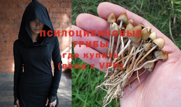 mdpv Новозыбков