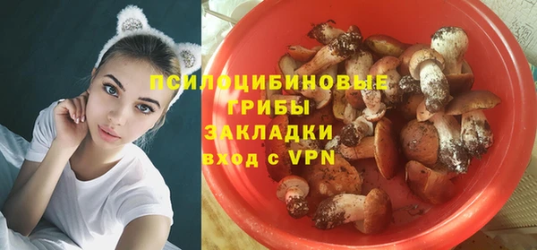 каннабис Новодвинск