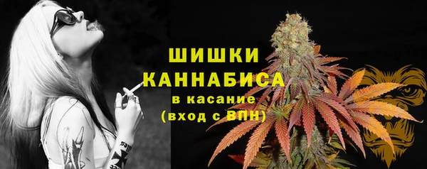 MESCALINE Елабуга